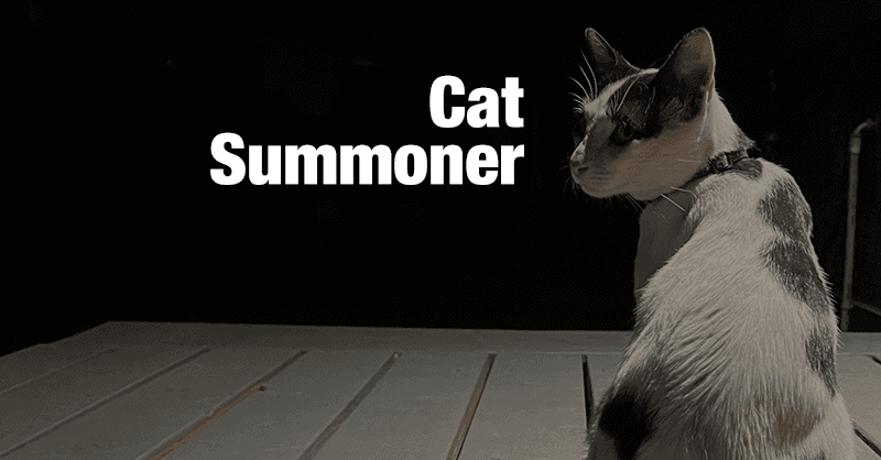 A cat sits at the edge of a porch beneath a black night sky. Their fur is mostly white with some black spots down the back. The cat has their back to the camera, but their head is turned to face backward. Next to the cat and against the night sky are the words Cat Summoner in white lettering.